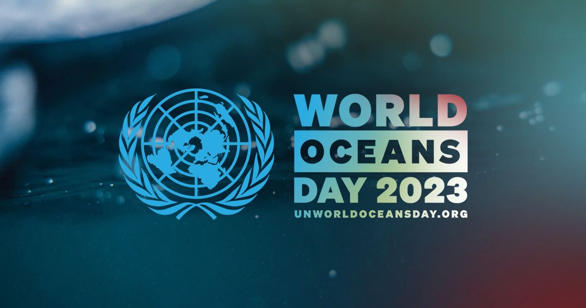 3 Impactful Ways to Celebrate World Ocean Day 2023 Take Action for